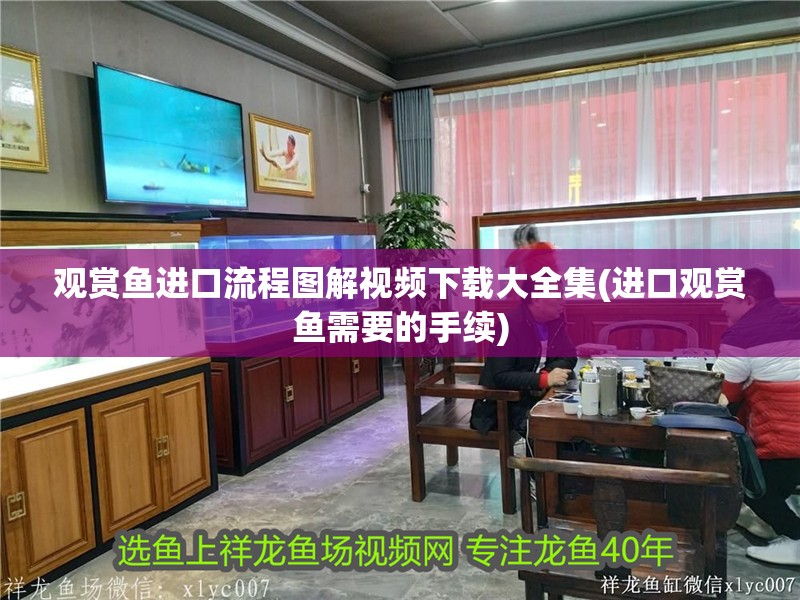 觀賞魚進口流程圖解視頻下載大全集(進口觀賞魚需要的手續)