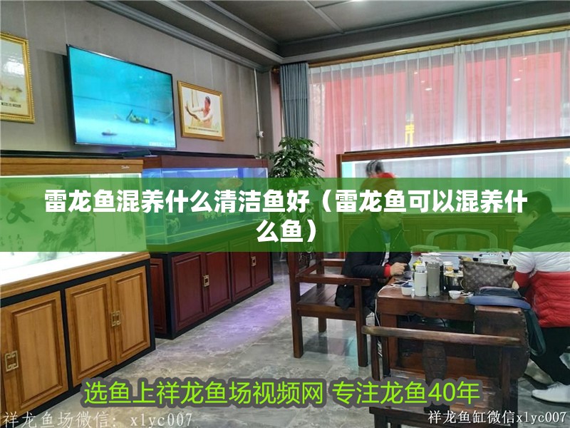 雷龍魚混養什么清潔魚好（雷龍魚可以混養什么魚）