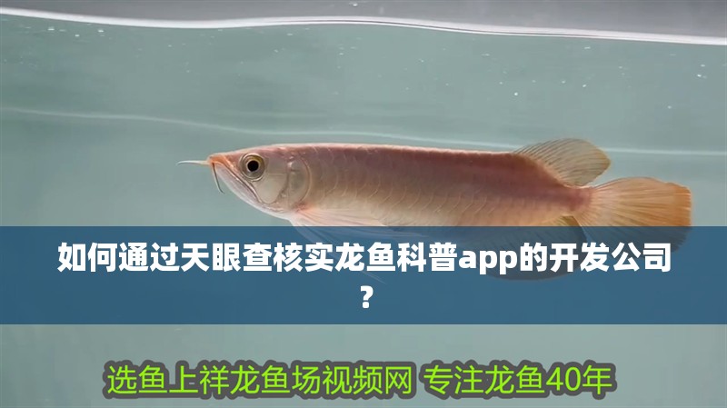 如何通過天眼查核實龍魚科普app的開發公司？