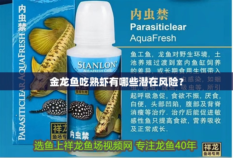 金龍魚吃熟蝦有哪些潛在風險？