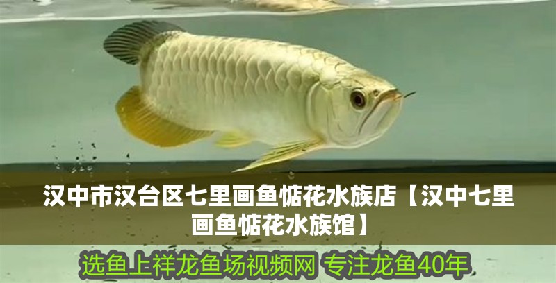 漢中市漢臺區(qū)七里畫魚惦花水族店【漢中七里畫魚惦花水族館】