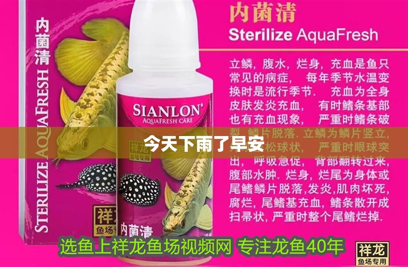 今天下雨了早安