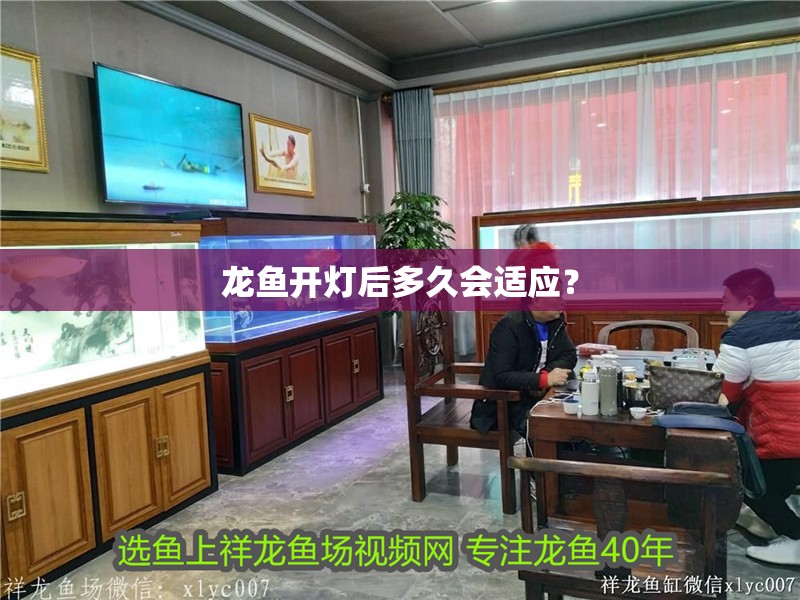 龍魚開燈后多久會(huì)適應(yīng)？