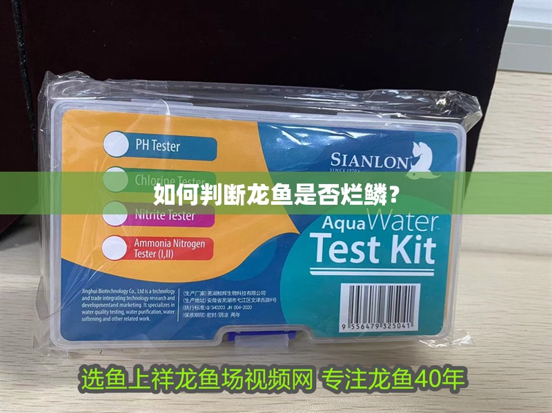 如何判斷龍魚是否爛鱗？