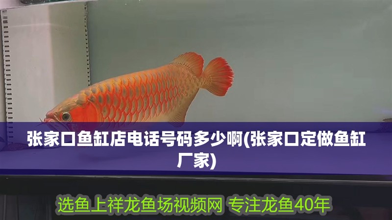 張家口魚缸店電話號碼多少啊(張家口定做魚缸廠家)