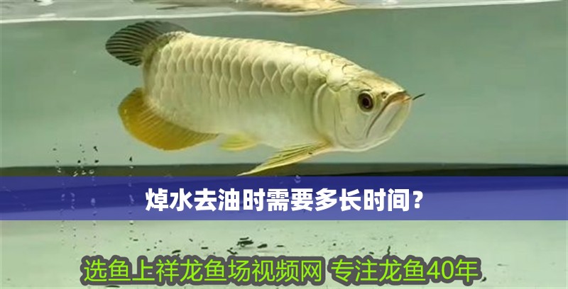 焯水去油時需要多長時間？