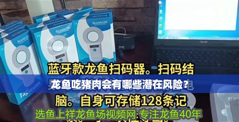 龍魚吃豬肉會(huì)有哪些潛在風(fēng)險(xiǎn)？