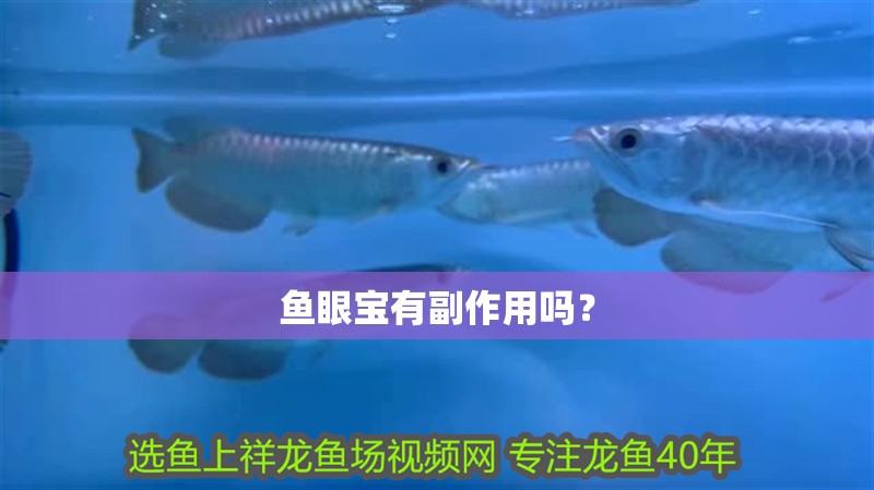 魚眼寶有副作用嗎？