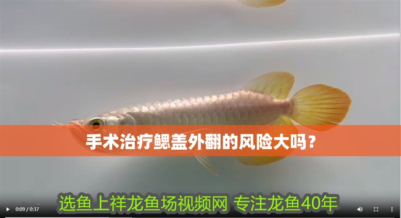 手術(shù)治療鰓蓋外翻的風(fēng)險(xiǎn)大嗎？