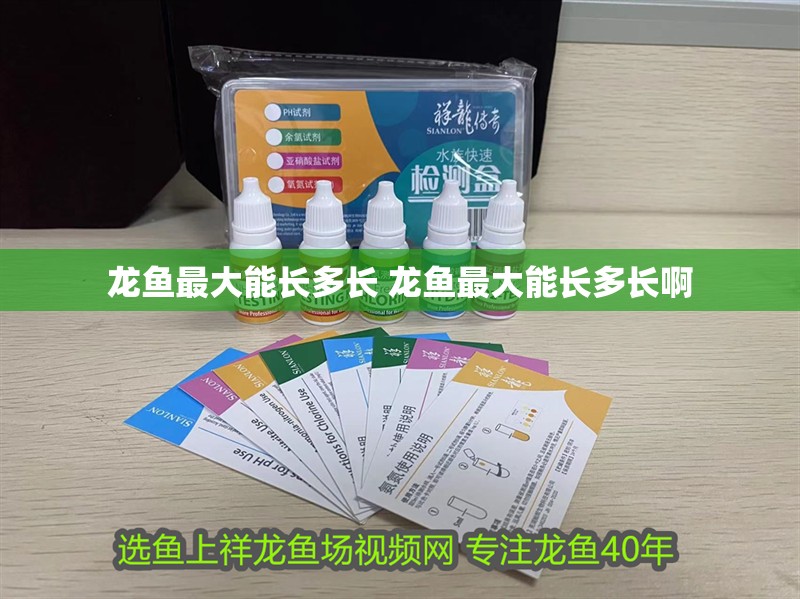 龍魚最大能長(zhǎng)多長(zhǎng) 龍魚最大能長(zhǎng)多長(zhǎng)啊