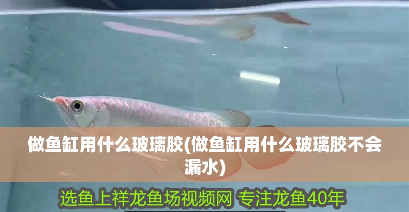 做魚缸用什么玻璃膠(做魚缸用什么玻璃膠不會漏水)