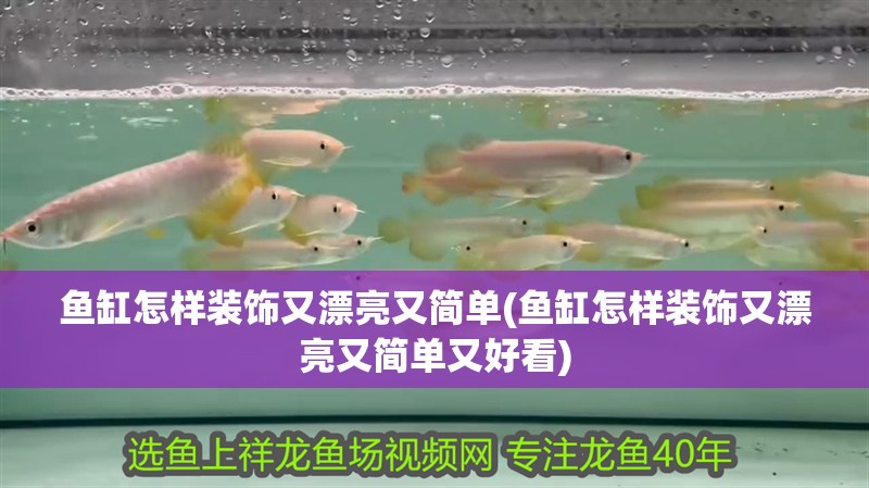 魚缸怎樣裝飾又漂亮又簡單(魚缸怎樣裝飾又漂亮又簡單又好看)
