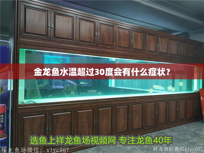 金龍魚水溫超過30度會有什么癥狀？