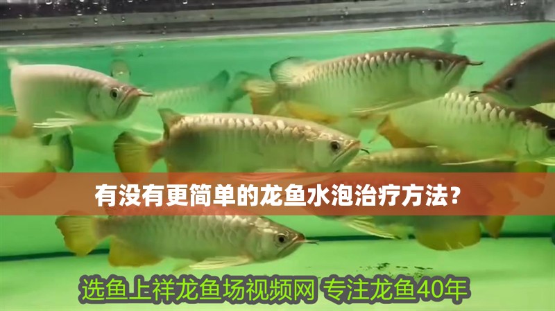 有沒有更簡單的龍魚水泡治療方法？
