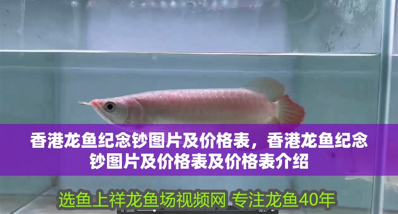 香港龍魚紀念鈔圖片及價格表，香港龍魚紀念鈔圖片及價格表及價格表介紹