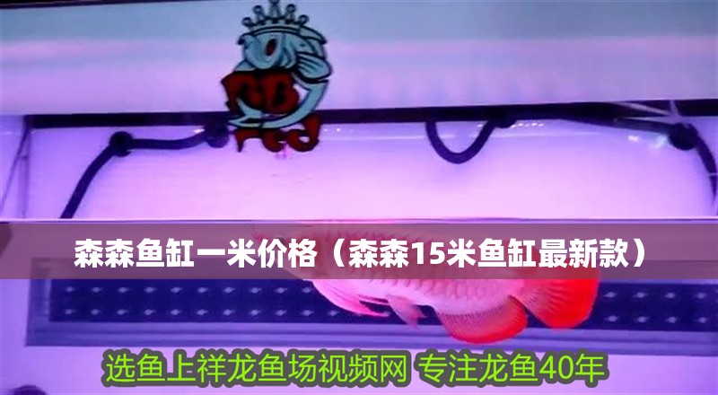 森森魚缸一米價格（森森15米魚缸最新款）