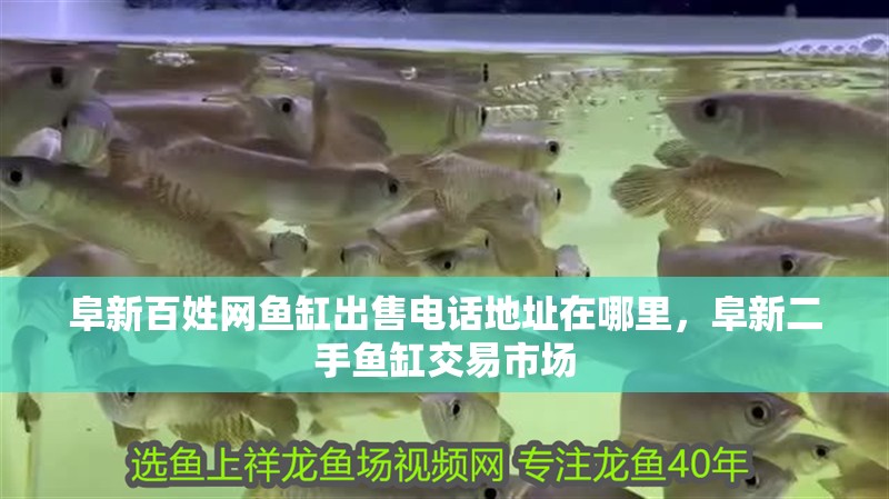 阜新百姓網(wǎng)魚缸出售電話地址在哪里，阜新二手魚缸交易市場