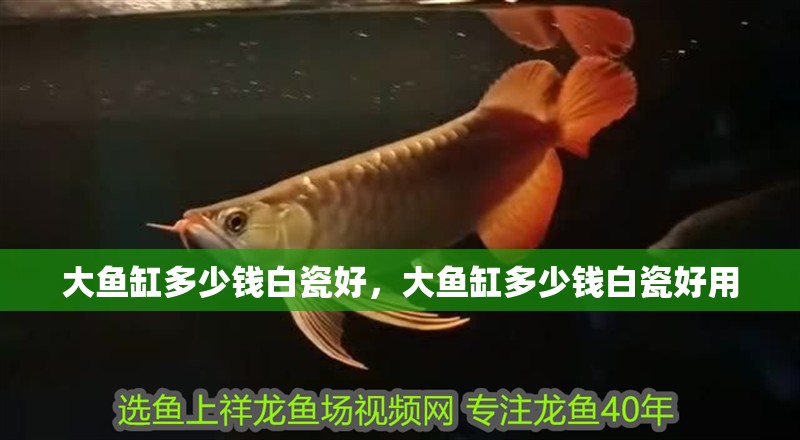 大魚缸多少錢白瓷好，大魚缸多少錢白瓷好用