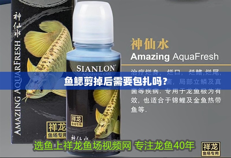 魚鰓剪掉后需要包扎嗎？