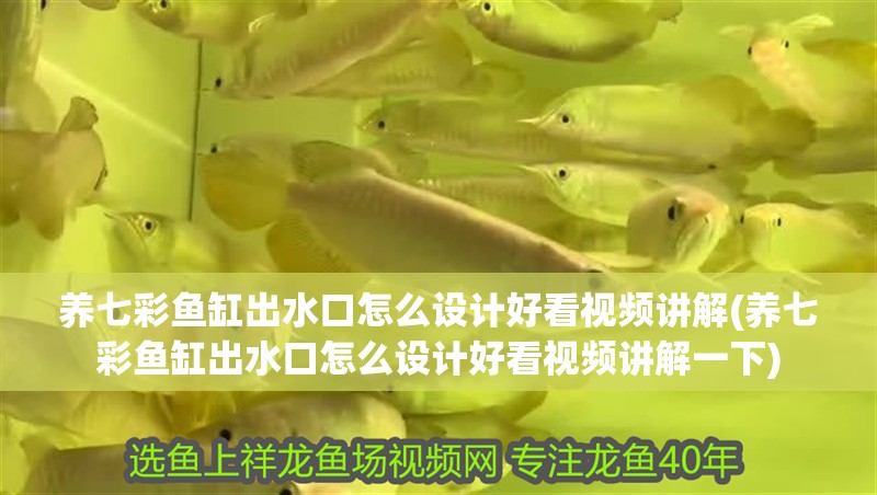 養(yǎng)七彩魚缸出水口怎么設計好看視頻講解(養(yǎng)七彩魚缸出水口怎么設計好看視頻講解一下)