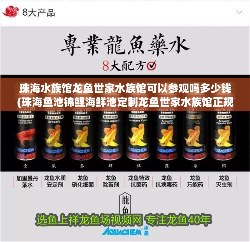 珠海水族館龍魚世家水族館可以參觀嗎多少錢(珠海魚池錦鯉海鮮池定制龍魚世家水族館正規)