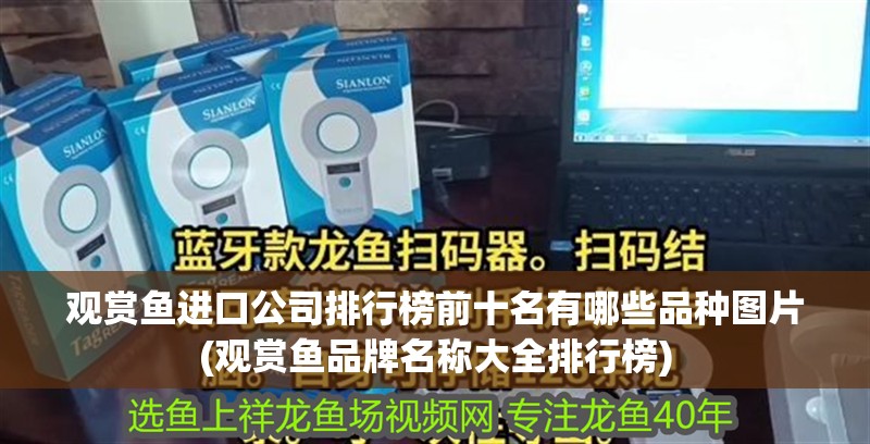觀賞魚進口公司排行榜前十名有哪些品種圖片(觀賞魚品牌名稱大全排行榜)