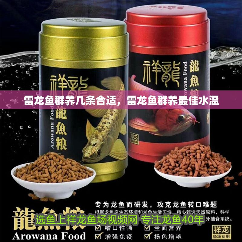 雷龍魚群養(yǎng)幾條合適，雷龍魚群養(yǎng)最佳水溫