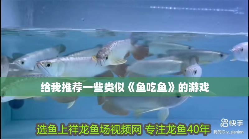 給我推薦一些類似《魚吃魚》的游戲