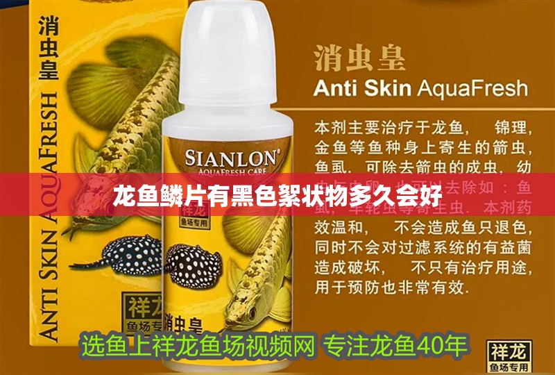 龍魚鱗片有黑色絮狀物多久會好