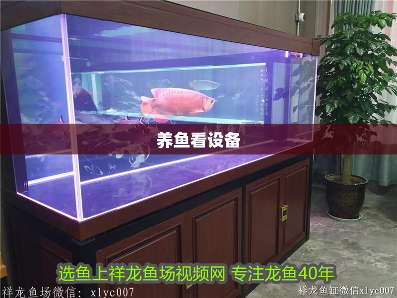 養魚看設備