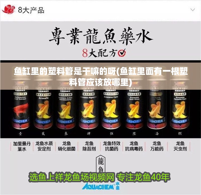 魚缸里的塑料管是干嘛的呀(魚缸里面有一根塑料管應(yīng)該放哪里)