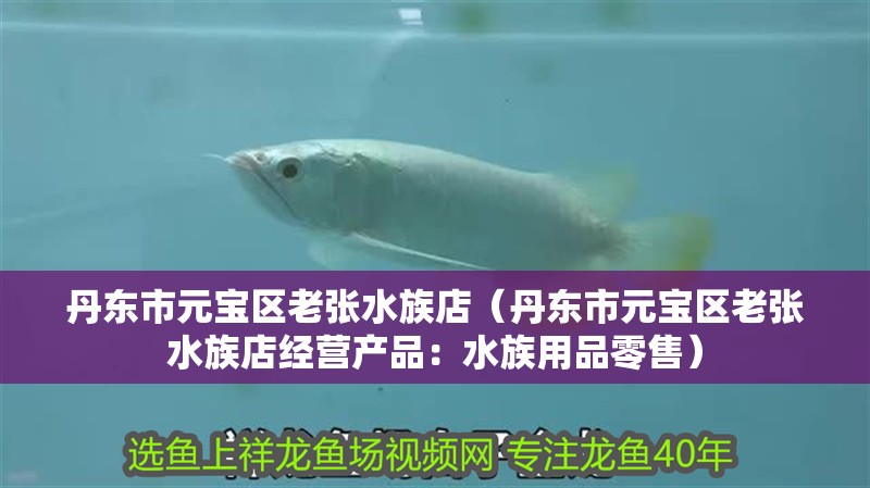 丹東市元寶區老張水族店（丹東市元寶區老張水族店經營產品：水族用品零售）