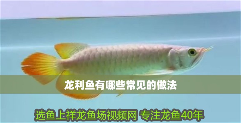 龍利魚有哪些常見的做法