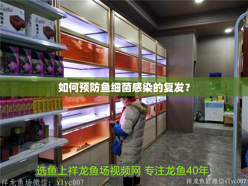 如何預防魚細菌感染的復發？