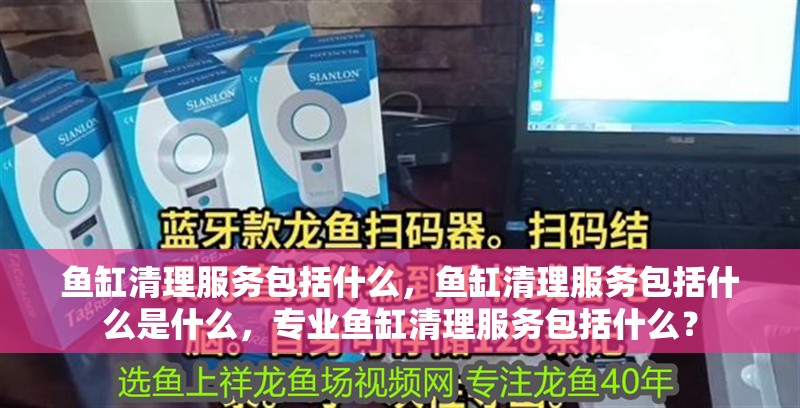 魚(yú)缸清理服務(wù)包括什么，魚(yú)缸清理服務(wù)包括什么是什么，專業(yè)魚(yú)缸清理服務(wù)包括什么？