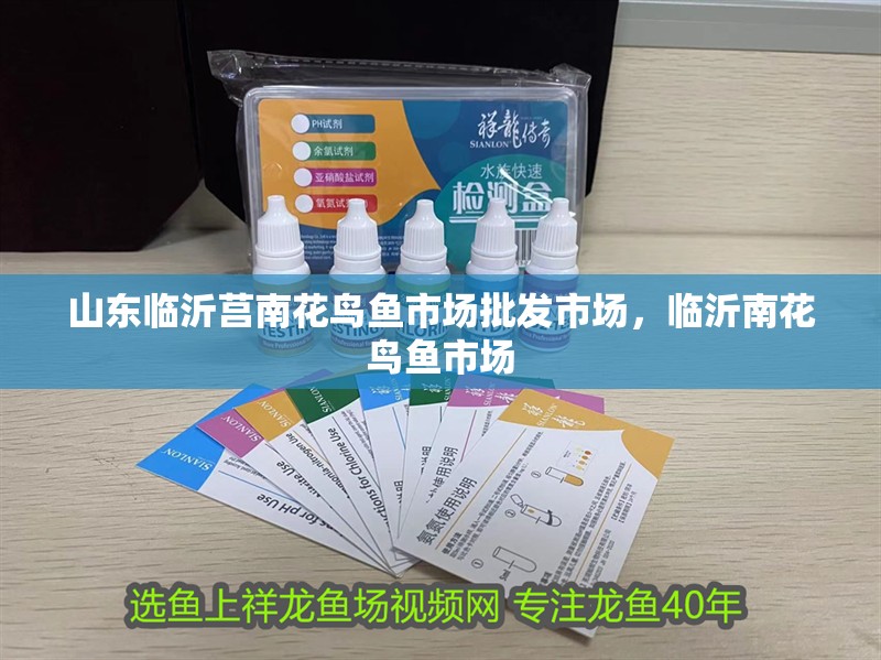 山東臨沂莒南花鳥魚市場批發市場，臨沂南花鳥魚市場