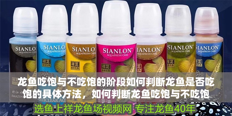 龍魚吃飽與不吃飽的階段如何判斷龍魚是否吃飽的具體方法，如何判斷龍魚吃飽與不吃飽