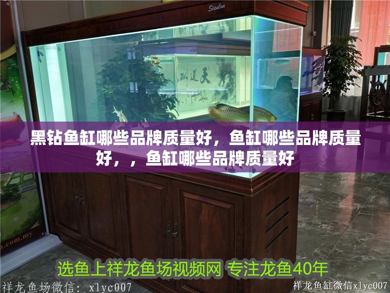 黑鉆魚缸哪些品牌質量好，魚缸哪些品牌質量好，，魚缸哪些品牌質量好