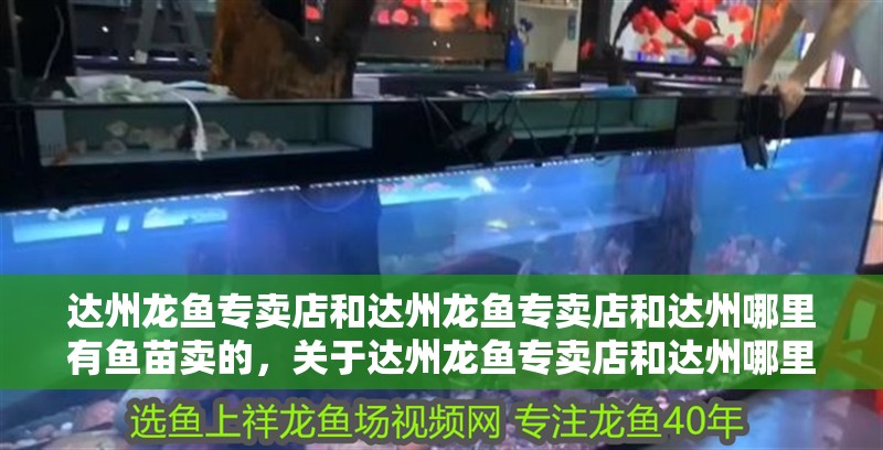 達州龍魚專賣店和達州龍魚專賣店和達州哪里有魚苗賣的，關(guān)于達州龍魚專賣店和達州哪里有魚苗賣的介紹