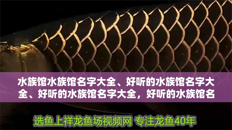 水族館水族館名字大全、好聽的水族館名字大全、好聽的水族館名字大全，好聽的水族館名字大全