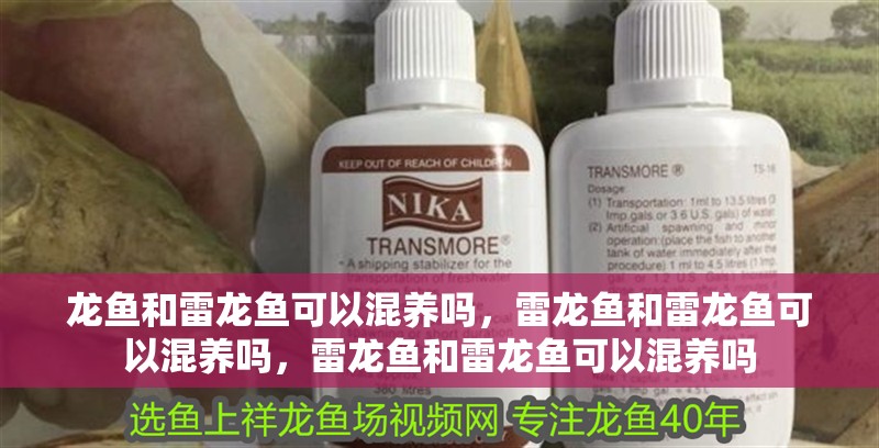 龍魚和雷龍魚可以混養嗎，雷龍魚和雷龍魚可以混養嗎，雷龍魚和雷龍魚可以混養嗎