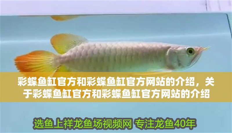 彩蝶魚缸官方和彩蝶魚缸官方網站的介紹，關于彩蝶魚缸官方和彩蝶魚缸官方網站的介紹