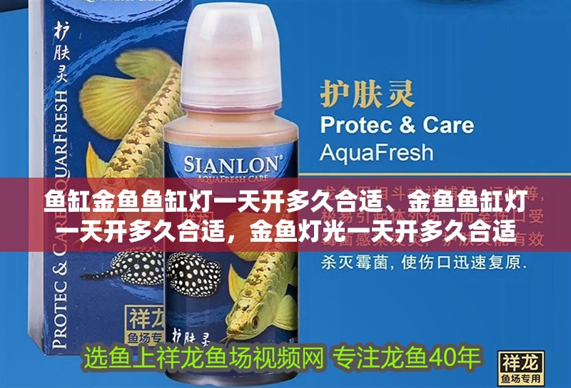 魚缸金魚魚缸燈一天開多久合適、金魚魚缸燈一天開多久合適，金魚燈光一天開多久合適