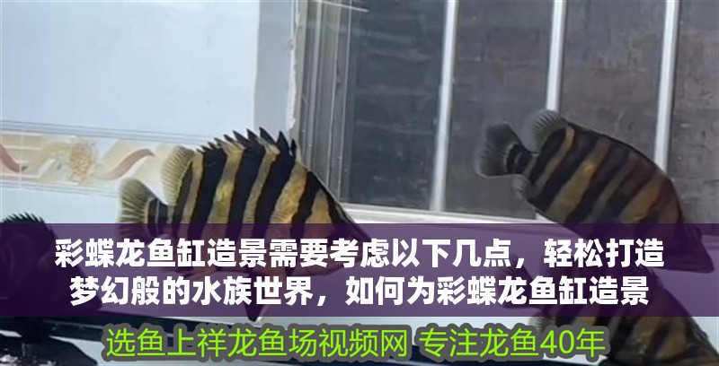 彩蝶龍魚缸造景需要考慮以下幾點，輕松打造夢幻般的水族世界，如何為彩蝶龍魚缸造景