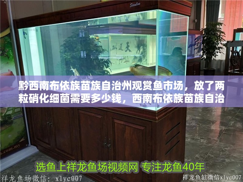 黔西南布依族苗族自治州觀賞魚市場，放了兩粒硝化細菌需要多少錢，西南布依族苗族自治州觀賞魚市場