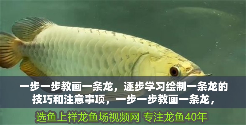 一步一步教畫一條龍，逐步學習繪制一條龍的技巧和注意事項，一步一步教畫一條龍，