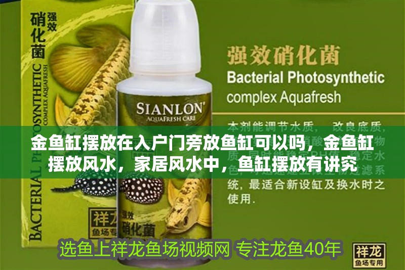 金魚缸擺放在入戶門旁放魚缸可以嗎，金魚缸擺放風(fēng)水，家居風(fēng)水中，魚缸擺放有講究