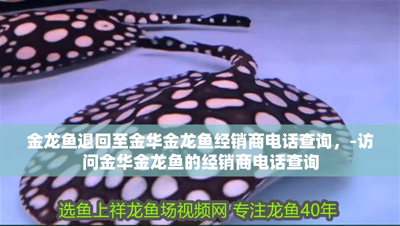 金龍魚退回至金華金龍魚經銷商電話查詢，-訪問金華金龍魚的經銷商電話查詢