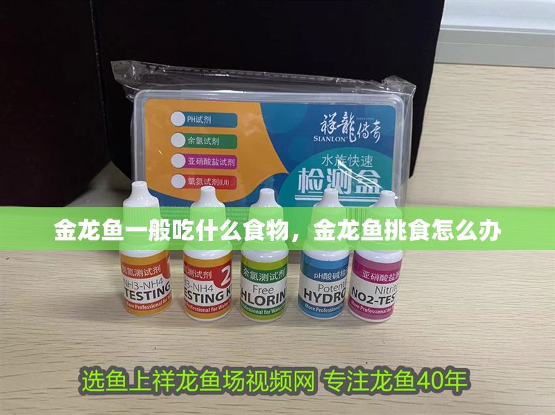 金龍魚一般吃什么食物，金龍魚挑食怎么辦