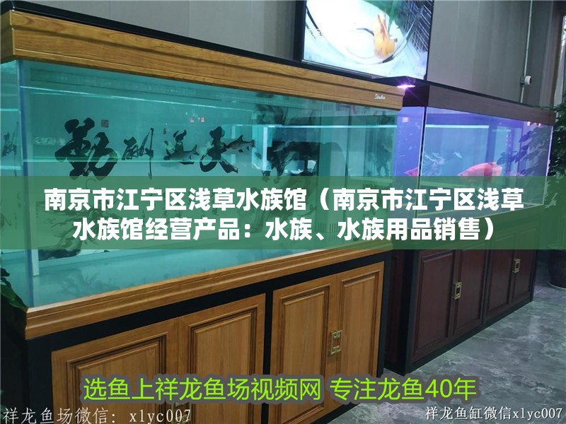 南京市江寧區淺草水族館（南京市江寧區淺草水族館經營產品：水族、水族用品銷售）